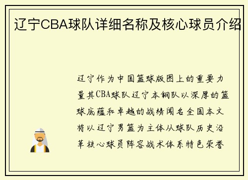 辽宁CBA球队详细名称及核心球员介绍